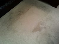 Bone Dry Carpet Cleaning 356657 Image 3